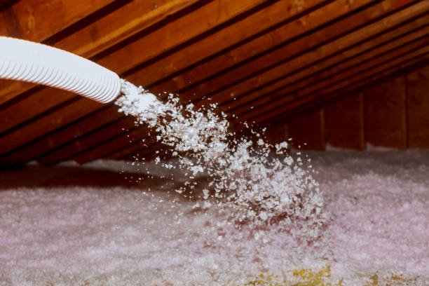 Best Residential Insulation in Ol, LA