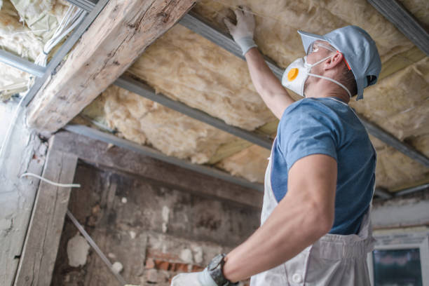 Best Commercial Insulation in Ol, LA