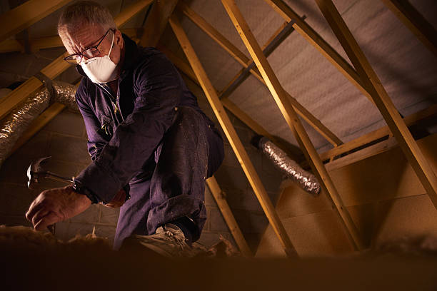 Best Insulation Materials and Products in Ol, LA
