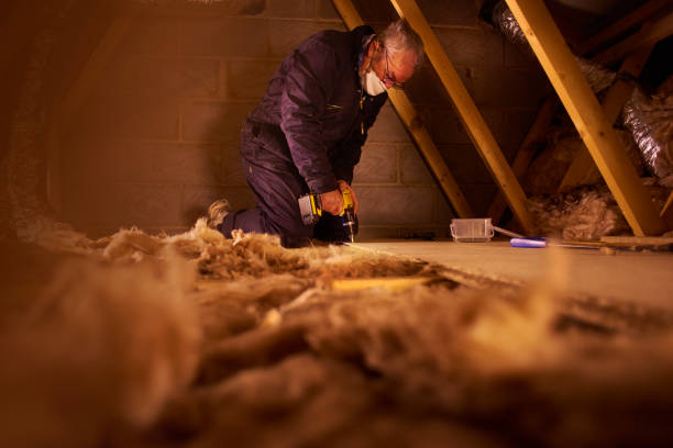 Best Insulation for Specific Applications in Ol, LA